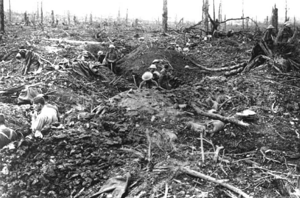 WW1 and WW2